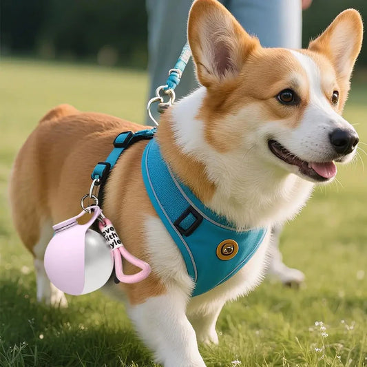 Creative Portable Pet Water Bottle with Bowl – Travel Dog Drinking Dispenser