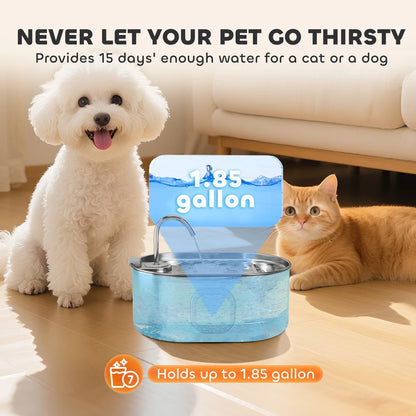 Stainless Steel Pet Water Fountain